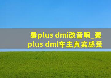 秦plus dmi改音响_秦plus dmi车主真实感受